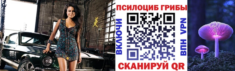 закладки  Урюпинск  Галлюциногенные грибы Psilocybe 